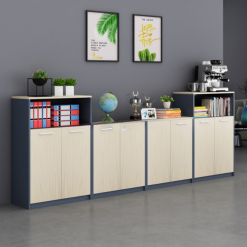Tủ Tài Liệu Thấp TH002