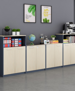Tủ Tài Liệu Thấp TH002